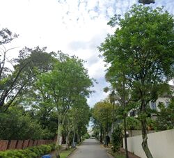 Wolskel Road (D13), Detached #480913761